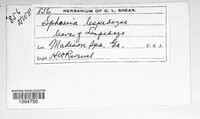 Image Associated With the Occurence